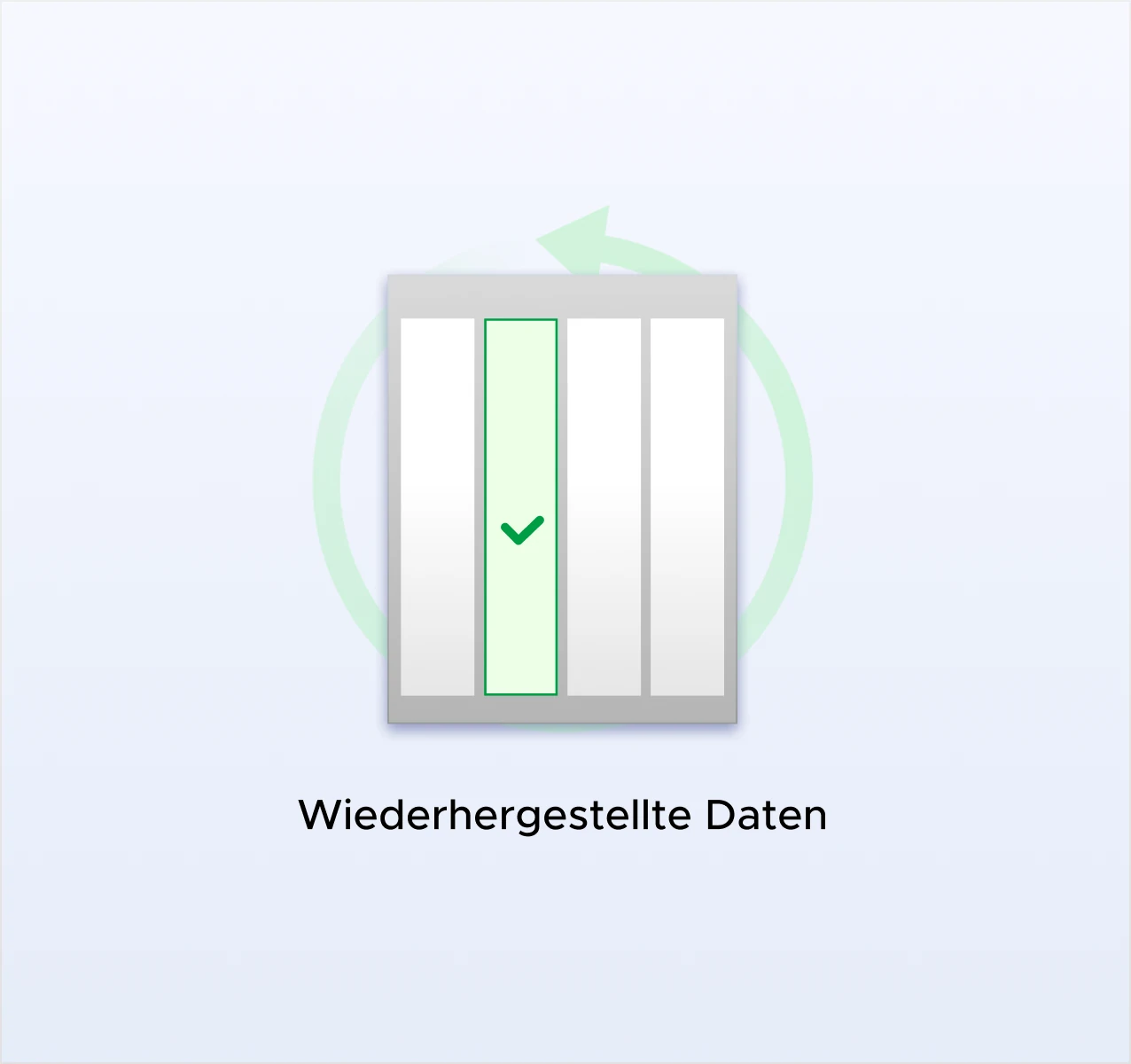 RAID‑Redundanzschutz